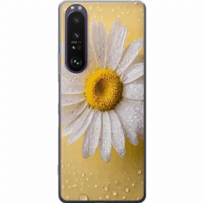 Artikkelin kuva A61199
