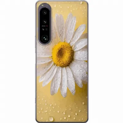 Artikkelin kuva A61253