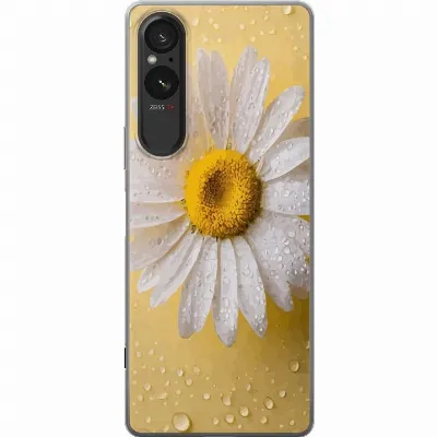 Artikkelin kuva A61550