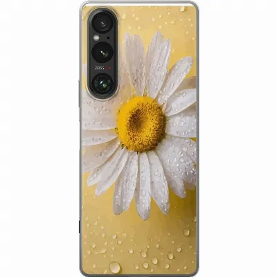 Artikkelin kuva A61307