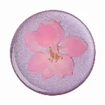Artikkelin kuva 38-91231