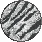 Artikkelin kuva 38-91266