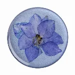 Artikkelin kuva 38-91232
