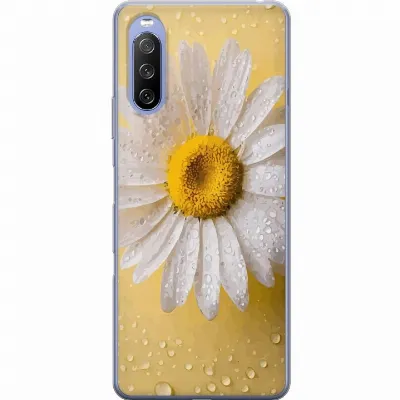 Artikkelin kuva A60929