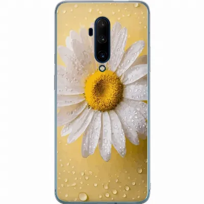 Artikkelin kuva A56771