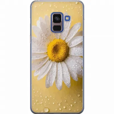 Artikkelin kuva A60308