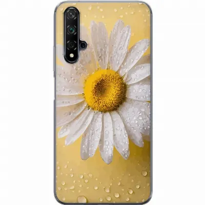 Artikkelin kuva A52916