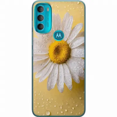 Artikkelin kuva A55286