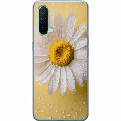 Artikkelin kuva A57581