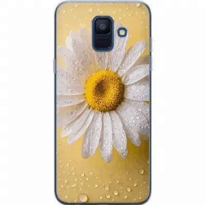 Artikkelin kuva A59984