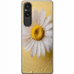Artikkelin kuva A61550