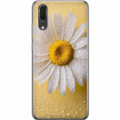 Artikkelin kuva A53024