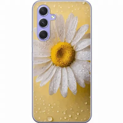 Artikkelin kuva A59903