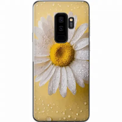 Artikkelin kuva A63305