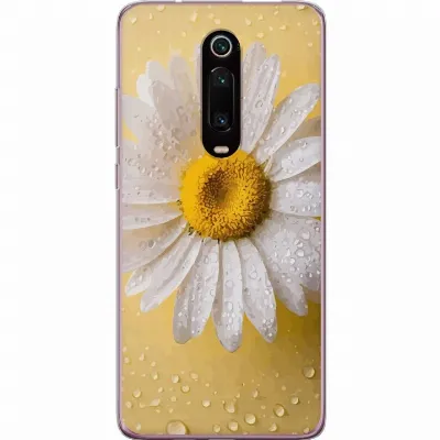 Artikkelin kuva A65006