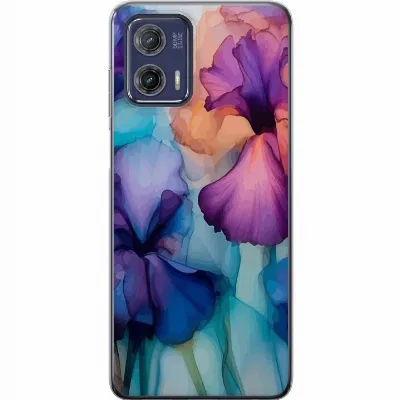 Artikkelin kuva A55397