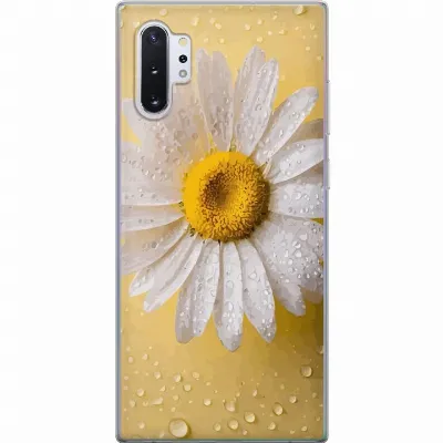Artikkelin kuva A60605