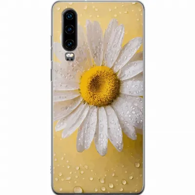 Artikkelin kuva A53186