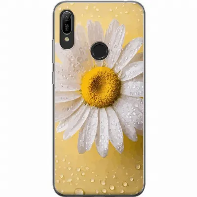Artikkelin kuva A53804