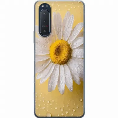 Artikkelin kuva A61388