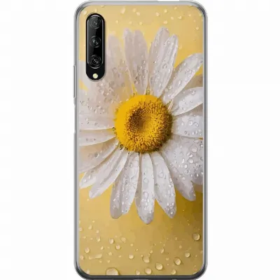 Artikkelin kuva A53618