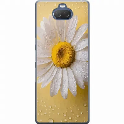 Artikkelin kuva A61118