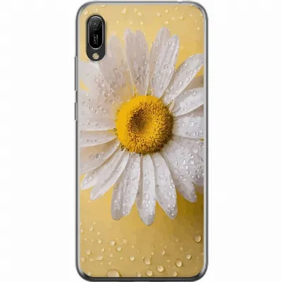 Artikkelin kuva A53856