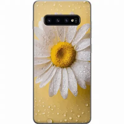 Artikkelin kuva A61847