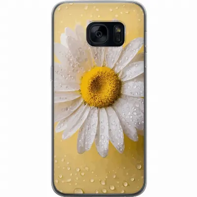 Artikkelin kuva A63089