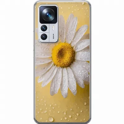 Artikkelin kuva A64034