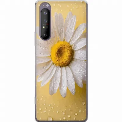 Artikkelin kuva A61145