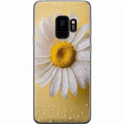 Artikkelin kuva A63251