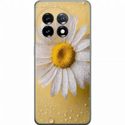 Artikkelin kuva A56420